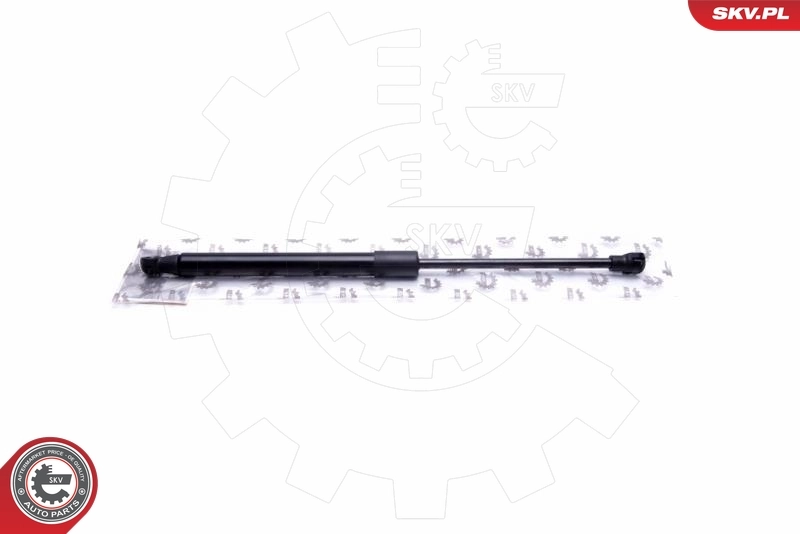 Gas Spring, boot/cargo area